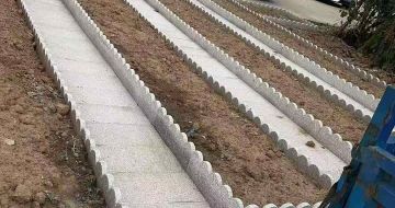 陇南芝麻白花边石