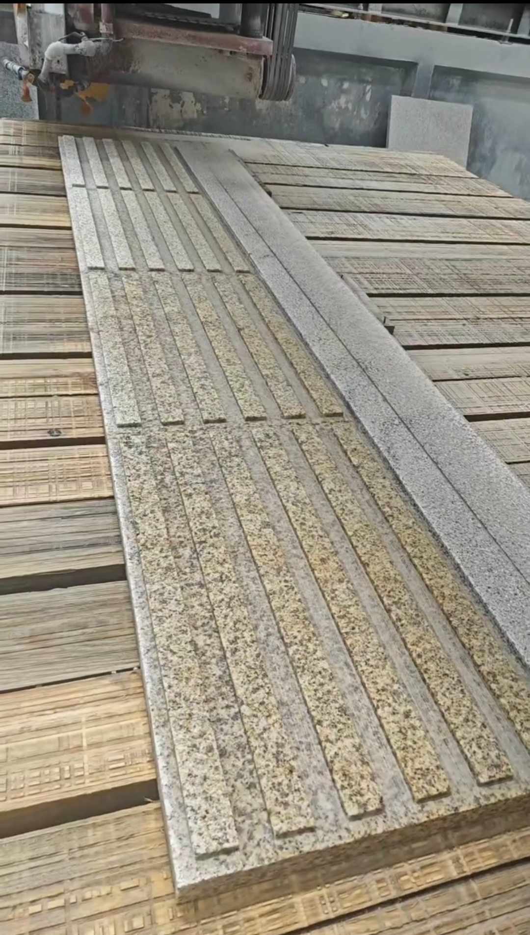 陇南黄金麻盲道石 盲条